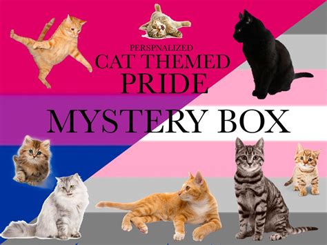 Personalized Cat Themed Bisexualromantic Demigirl Pride Mystery Box Etsy