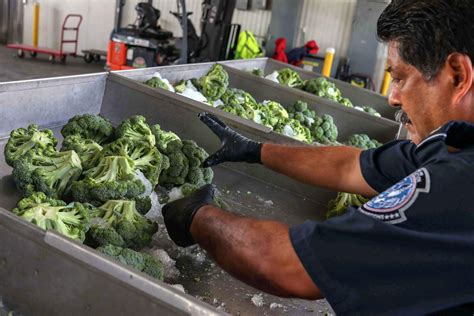 The transformative power of reduced wait times at the US-Mexico border