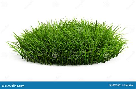 Round Patch Of Fresh Grass Stock Illustration Illustration Of Life