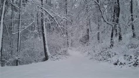 A szputnyik v vakcina egy modern technológián alapuló vektorvakcina. A Kőszegi-hegységben már szánkózni is lehet | szmo.hu