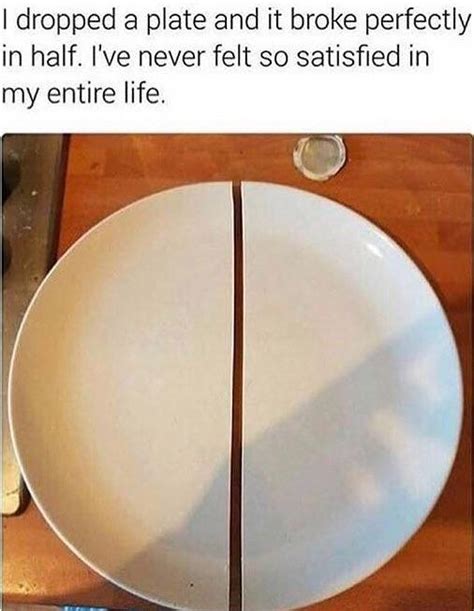 A Broken Plate In Just Two Perfect Halves Roddlysatisfying
