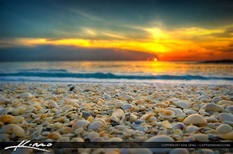 Seashells Sunrise Over Singer Island Florida Royal Stock Photo