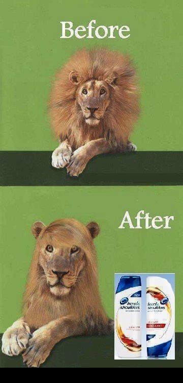 Shampoo Pictures And Jokes Funny Pictures And Best Jokes