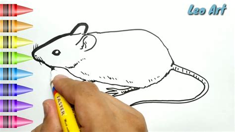 28 Ini Contoh Sketsa Gambar Tikus Terlengkap Paperbola
