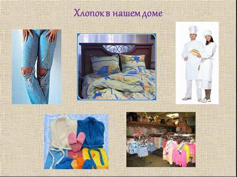 Презентация "Натуральные растительные волокна" (5 класс) по технологиям Картинка - Презентация "Натуральные растительные волокна" (5 класс) по технологиям