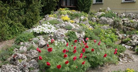 We did not find results for: Steingarten anlegen - Mein schöner Garten