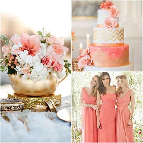 11 Best Colours Matching Coral Everafterguide