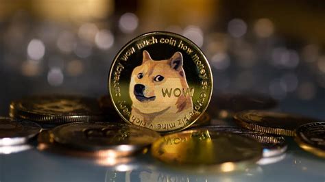 Image dogecoin-4 : Twitter used the image of dogecoin as its main logo - TIme News