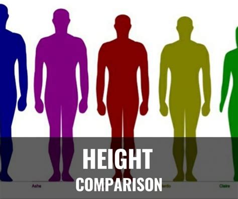 Height Comparison How Tall Am I Compared To Celebrities