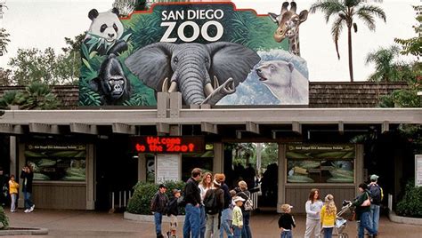 Discount San Diego Zoo Tickets | Get Away Today | San diego zoo, Cool