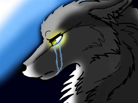 Why Would A Wolf Cry By Sianiithewolf On Deviantart