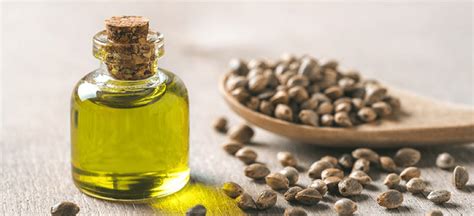 Hemp oil + can be taken with or without food, and there are no formal limitations for how long to take it. Hemp Oil: How To Use For Your Face & Its Benefits? · ChicMags