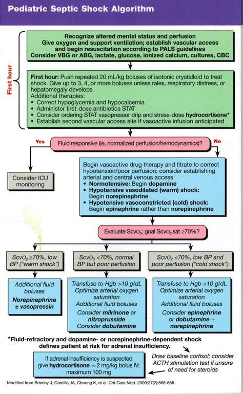 14 Best Pals Algorithm Ideas Pals Algorithm Emergency Nursing