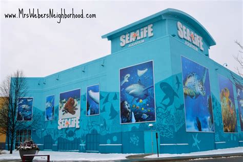 Tips For Visiting Sea Life Michigan Aquarium Sealifemi Mrs Webers
