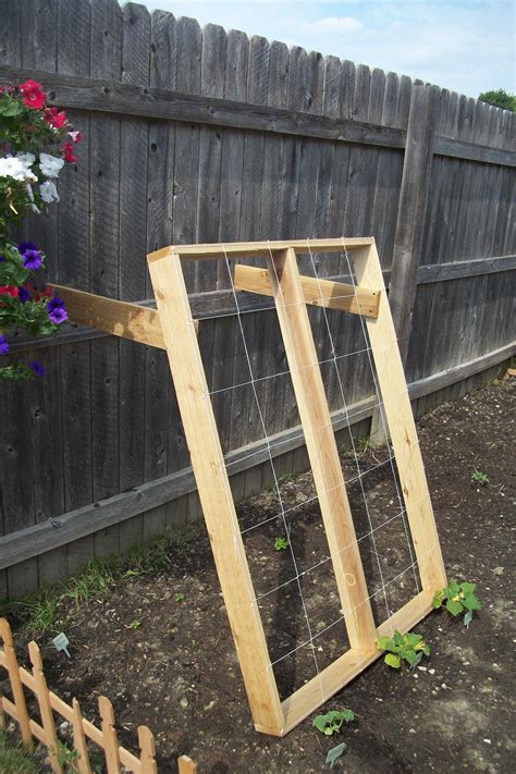 I ask you to consider my offer. Trellis for cucumbers and zucchini. Lettuce and spinach ...