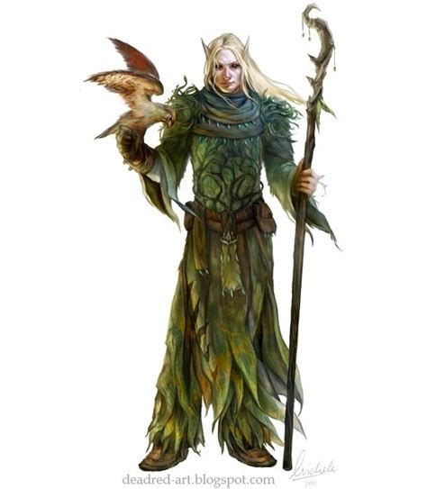Pin By Elberling Oliveira De Castro On 03 Rpg Dungeons And Dragons Characters Dnd Druid