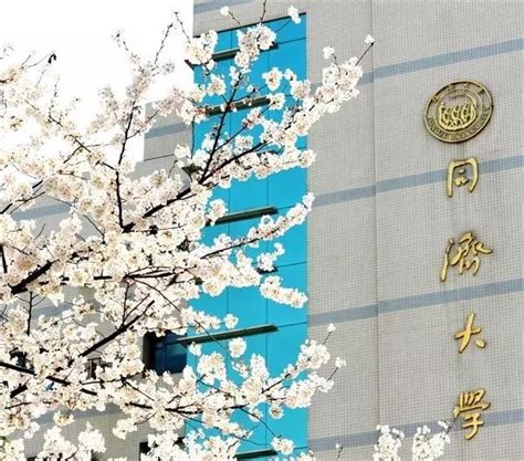 Jul 27, 2021 · 張家朗曾說，擊劍十分具有挑戰性，當年一接觸便愛上了。 也正是這份對於擊劍的執著，到中四時他決定輟學，當上全職運動員。 初時決定，父母還擔心他小孩子脾性，過幾天就會放棄，但在一、兩年間，他愈發努力，也因此得到父母的認可和全力支持。 特朗普母校華人女校長在上海說，教育不是一張去藤校的船票_外灘教育 - 微文庫