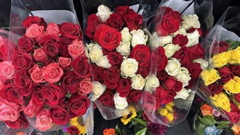 You Can Get 4 Dozen Roses Delivered From Costco For Under 50 Kids