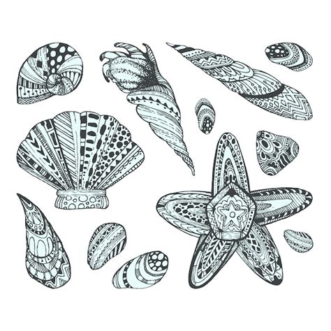 Seashell Design Collection Vector Free Download