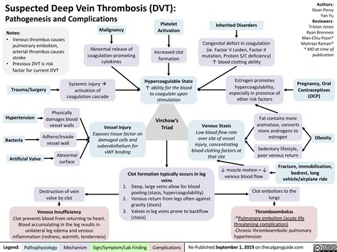 Virchows Triad And Deep Vein Thrombosis Dvt Calgary Guide