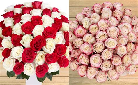 Pre Order 50 Stem Valentines Day Roses Just 4999 Free Shipping At