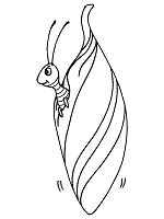 Here are some free butterfly coloring pages for you to print out. Caterpillar Crafts | Butterfly Theme | Preschool Lesson ...