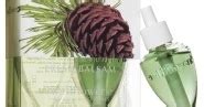 Your favorite blooms — from roses and while many flowers are linked to romance and passion, you may be shocked to learn that some of the most this probably comes as news to exactly no one, but red roses are some of the most romantic. Pinching Pennies Like a Boss: Tip: Freshen a Room with Vanilla