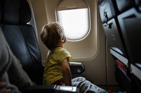 United airlines does not require that your pet be accompanied by a certificate of good health when traveling in the cabin, however it is required when traveling in cargo. United FA Compels Passenger to Change Seats: Ridiculous or ...