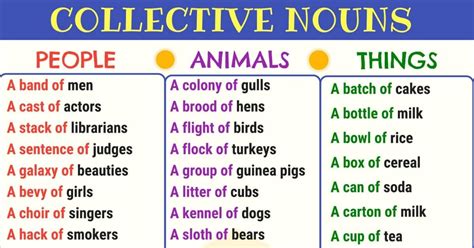 Collective Noun Definition List And Examples Of Collective Nouns In