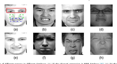 Figure 1 From Sparse Deep Feature Learning For Facial Expression