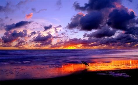 Some of the most popular sunset backgrounds include; Beach sunset wallpaper desktop |See To World