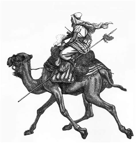 We offers digital pen draw products. CPerrien Scans CD02 - Animals(Pen Drawing) Camel ...