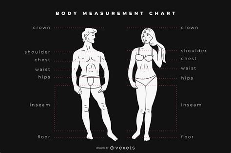 Body Measurement Chart Graphic - Vector Download