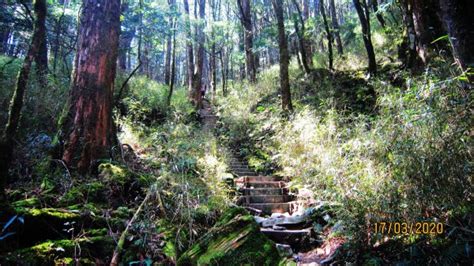 The site owner hides the web page description. 谷關 八仙山 ~ 試煉修行 綠釀凝香 - 健行筆記