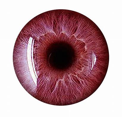 Eyes Eye Lens Lenses Vampire Eyeball Scary