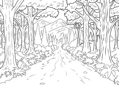 Camino Natural En El Bosque Para Colorear Imprimir E Dibujar Dibujos