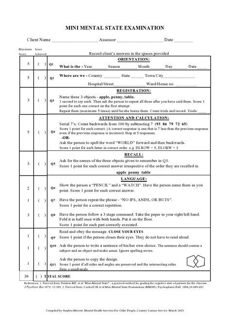 Mental Health Reference Mental Status Exam Assessment Template Mse