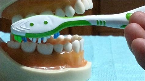 Técnica De Bass Modificada