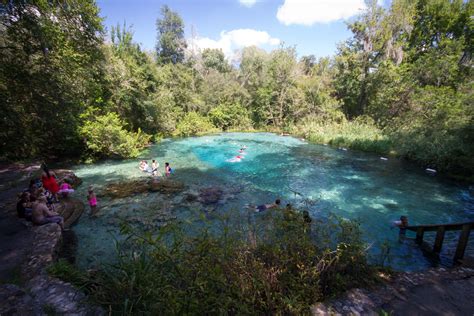 Vrbo.com has been visited by 1m+ users in the past month Ichetucknee Springs State Park | Outdoor, State parks ...