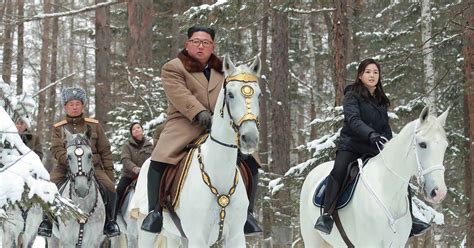 Upon his ascension to power, kim quickly became a widespread subject of online parodies and ridicule. Kim Jong Un again rides horse up sacred peak as N. Korea ...