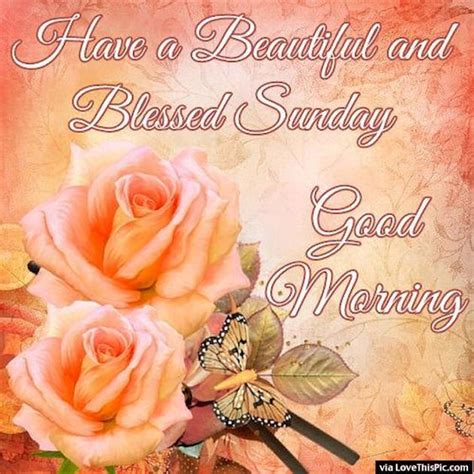 Good Morning Have An Awesome And Blessed Day Blessed Sunday