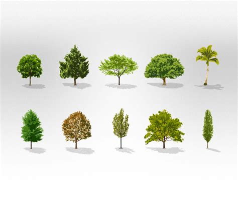 Free Vector Trees Collection