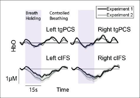 Hbo Concentration Change During Controlled Breathing In Experiments 1