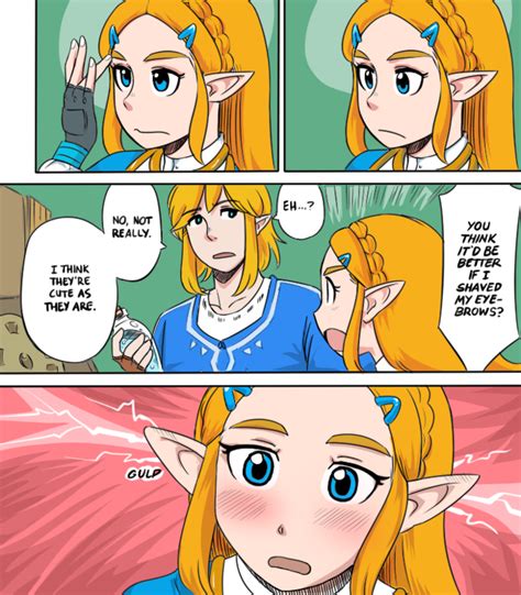 Zeldas Eyebrow Issue The Legend Of Zelda Breath Of The Wild Know Your Meme
