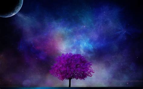 Galaxy Tree Wallpapers Top Free Galaxy Tree Backgrounds Wallpaperaccess