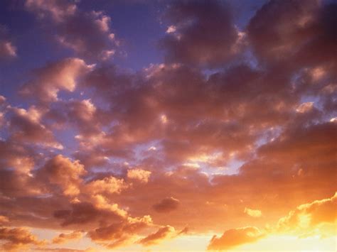 We did not find results for: Wallpaper matahari terbit (sunrises) - Kumpulan Wallpaper Gratis, Lucu dan Keren