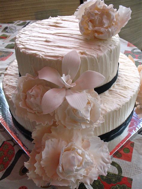 Download Carrie's Mock-Up Cake (18) | Megs Bylsma | Flickr