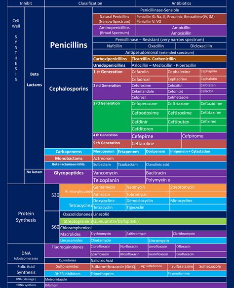 Antibiotics Chart With Coverage