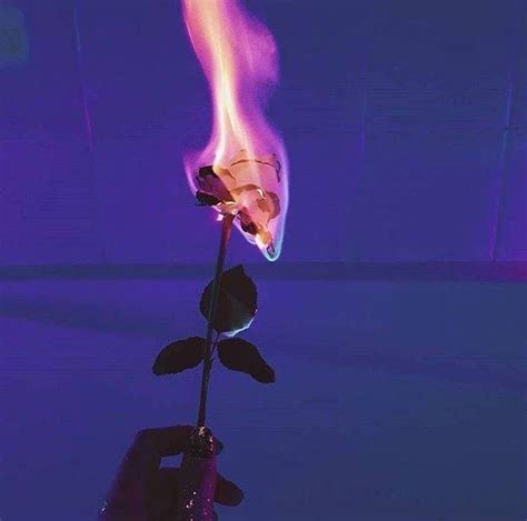 Picture dimension should be 300x300 picture file size must be at least 20kb but not more than 100kb. Photo | Witch aesthetic, Aesthetic roses, Flower aesthetic