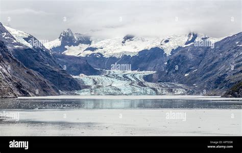 Johns Hopkins Glacier A 12 Mile Long Glacier Falling Into The Sea In